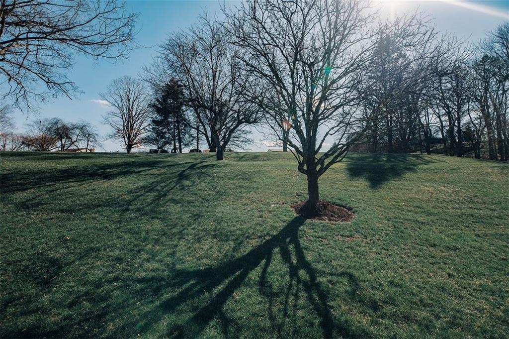 2740 Rebecca Street Indiana, PA 15701 - Photo 25 of 25 a view of a garden