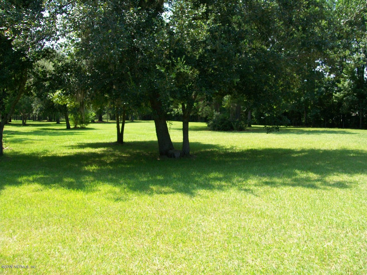 11525 Chapparell Road Jacksonville, FL 32218 - Photo 5 of 9 Yard
