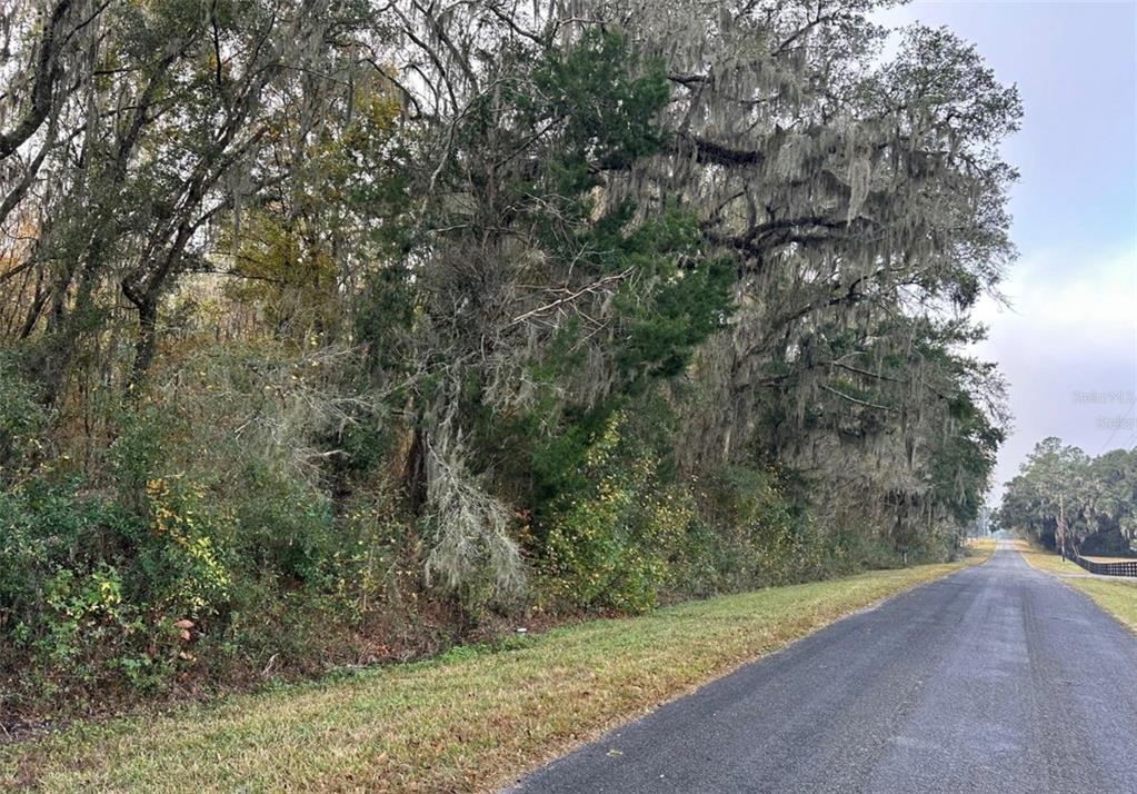 Northwest 160th Street Reddick, FL 32686 - Photo 12 of 12