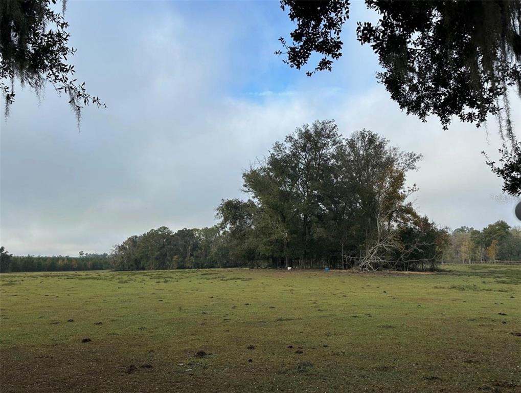 Northwest 160th Street Reddick, FL 32686 - Photo 2 of 12