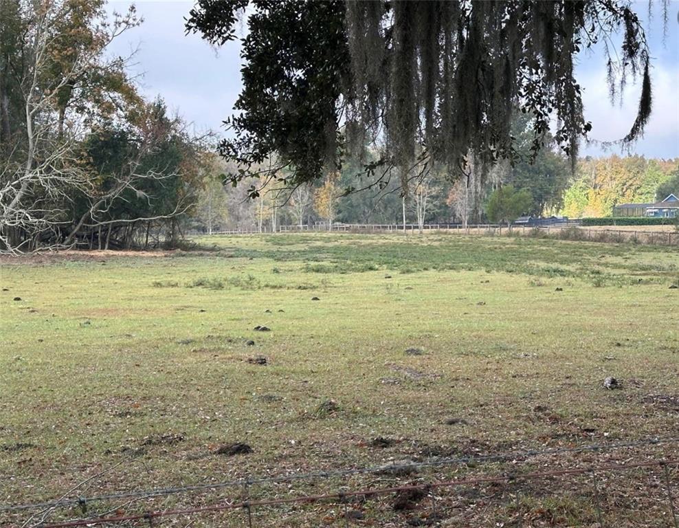 Northwest 160th Street Reddick, FL 32686 - Photo 3 of 12