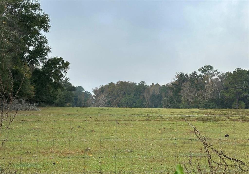 Northwest 160th Street Reddick, FL 32686 - Photo 4 of 12