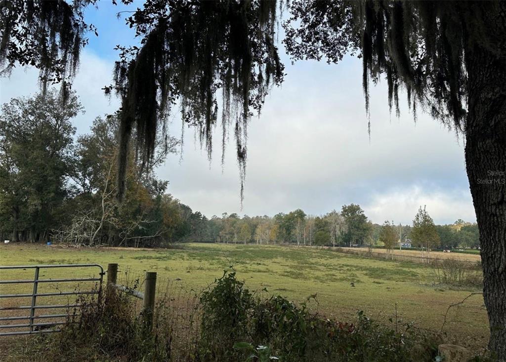 Northwest 160th Street Reddick, FL 32686 - Photo 7 of 12