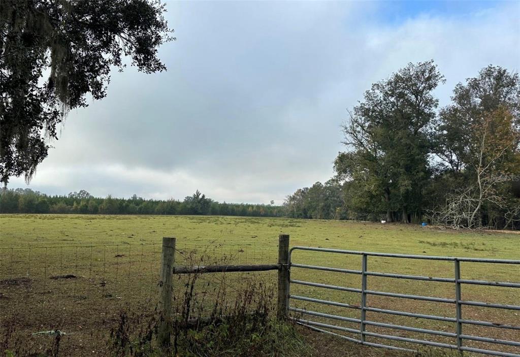 Northwest 160th Street Reddick, FL 32686 - Photo 8 of 12