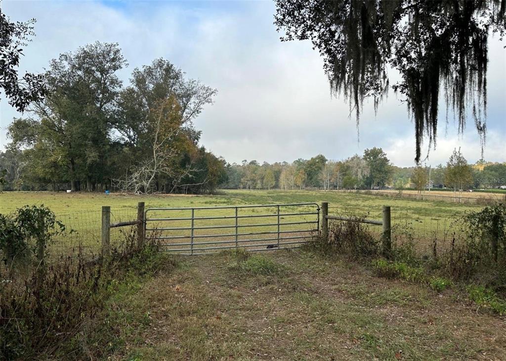 Northwest 160th Street Reddick, FL 32686 - Photo 9 of 12