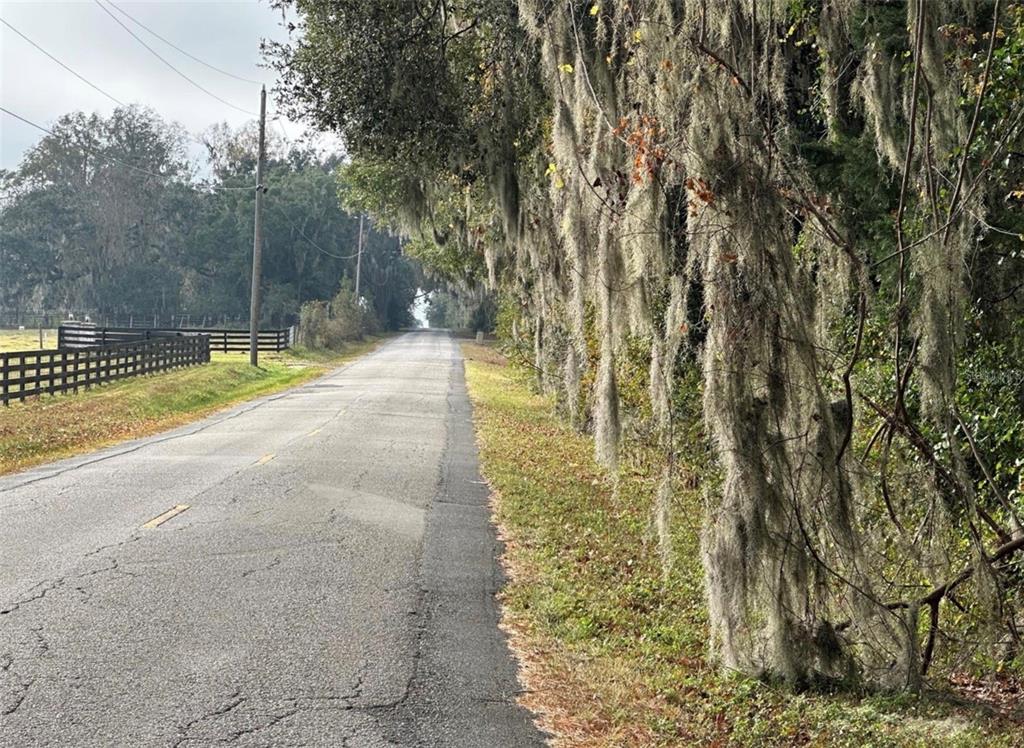 Northwest 160th Street Reddick, FL 32686 - Photo 10 of 12