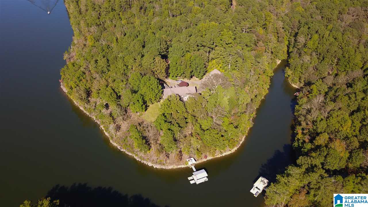 1843 County Road 129 Wedowee, AL 36278 - Photo 41 of 48