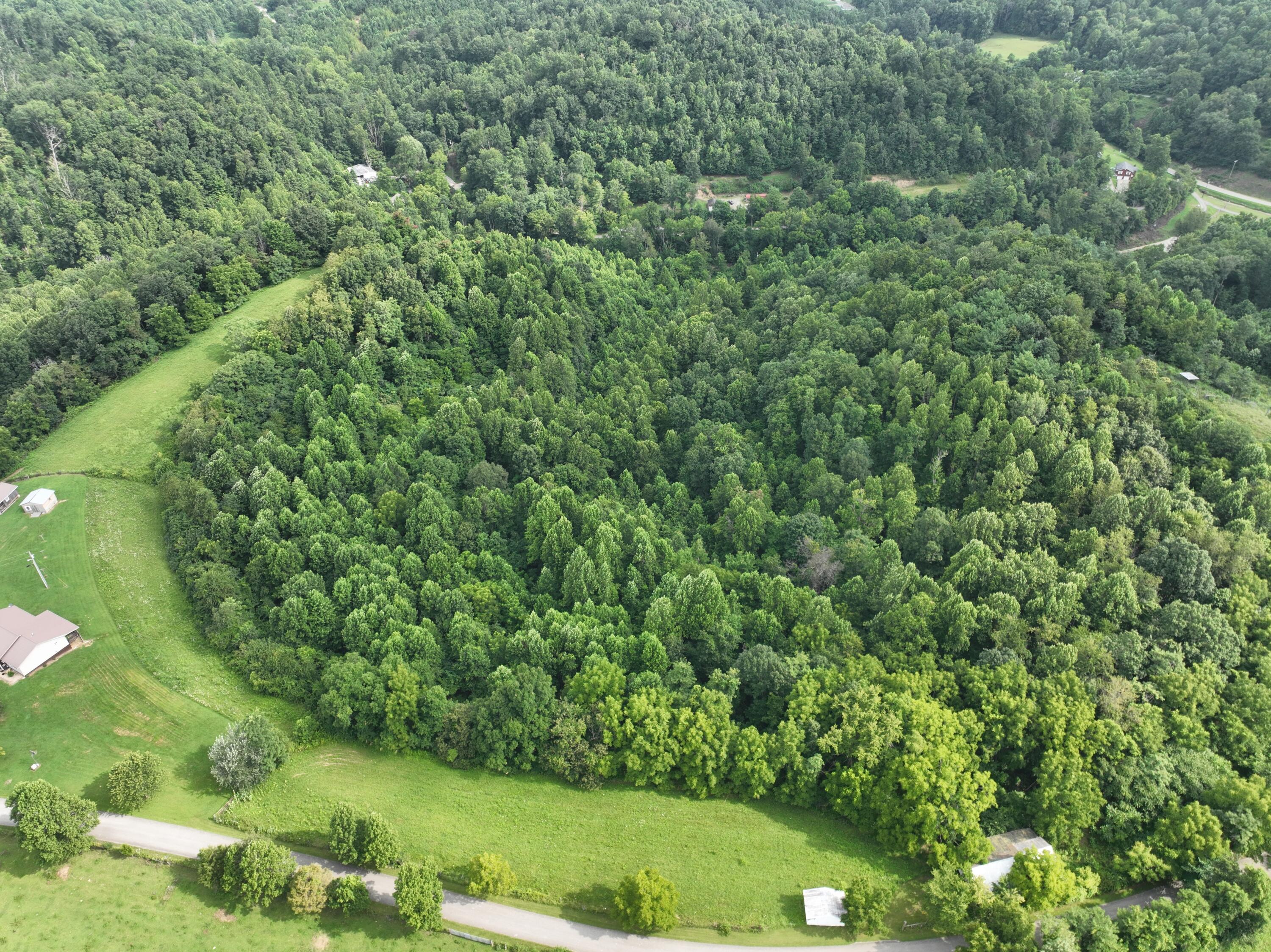 9998 Hurst School Road McKee, KY 40447 - Photo 3 of 15 DJI_0542