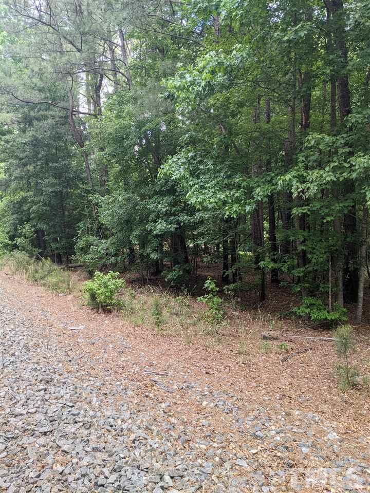 0 Fleming Loop Road Fuquay-Varina, NC 27526 - Photo 6 of 7 a view of backyard with green space