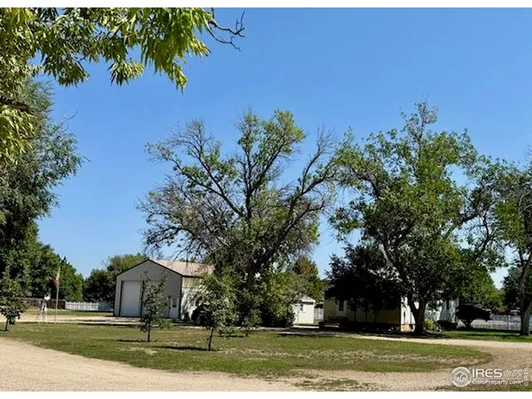a view of a yard with plants and trees