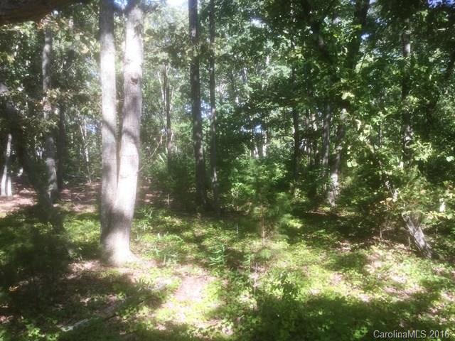 0 Huntington Farm Road, Unit 8 Catawba, SC 29704 - Photo 2 of 8 a view of forest