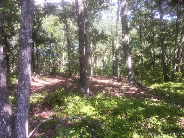 0 Huntington Farm Road, Unit 8 Catawba, SC 29704 - Photo 3 of 8