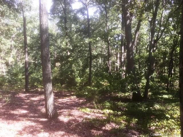 0 Huntington Farm Road, Unit 8 Catawba, SC 29704 - Photo 4 of 8 a view of a forest
