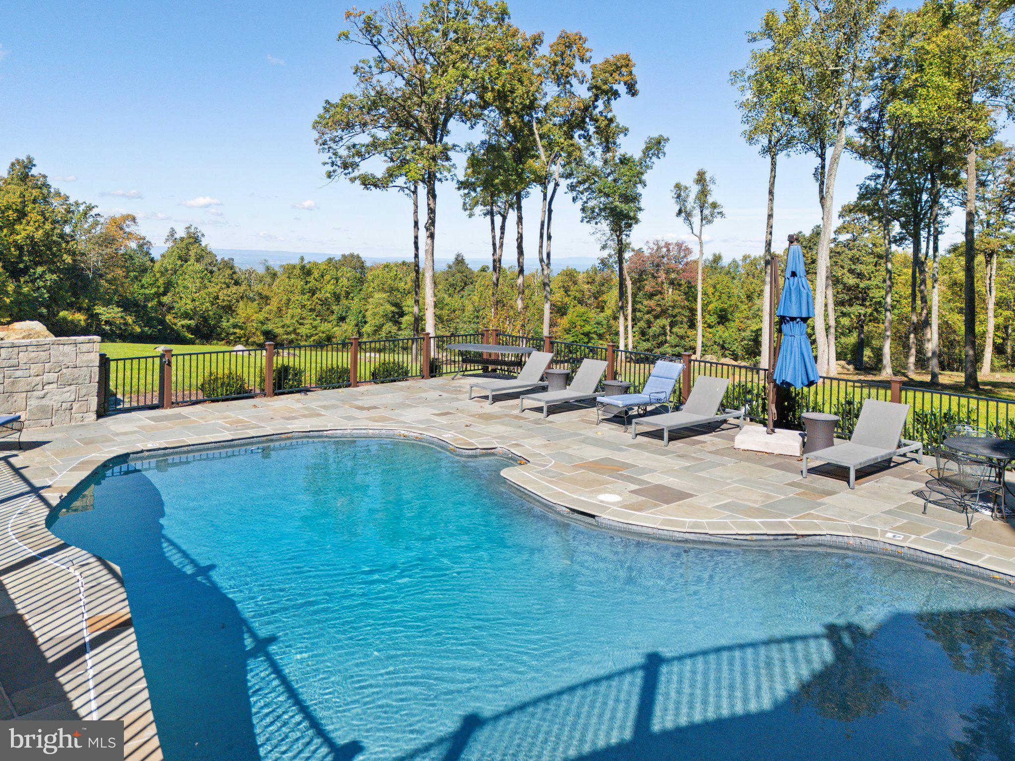 20615 Blue Ridge Mountain Road Paris, VA 20130 - Photo 46 of 80 a view of swimming pool with outdoor seating and trees in the background