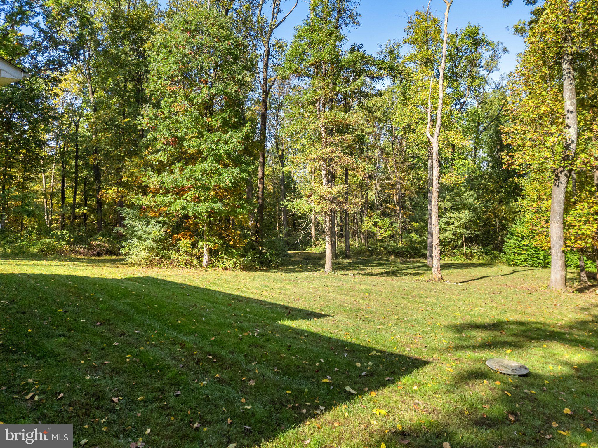 20615 Blue Ridge Mountain Road Paris, VA 20130 - Photo 64 of 80 a view of a trees with a yard