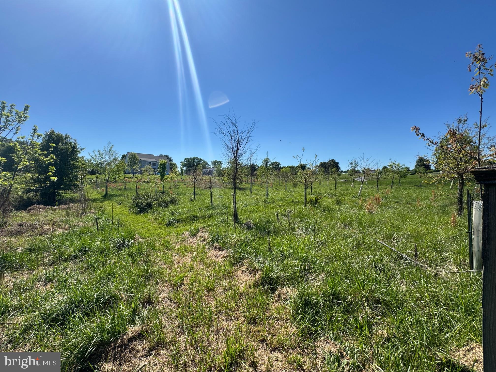 15491 Barnesville Road Boyds, MD 20841 - Photo 17 of 18 a view of a lush green space