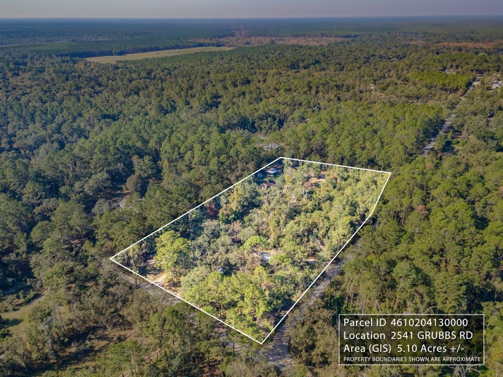 2541 Grubbs Road Tallahassee, FL 32305 - Photo 25 of 32
