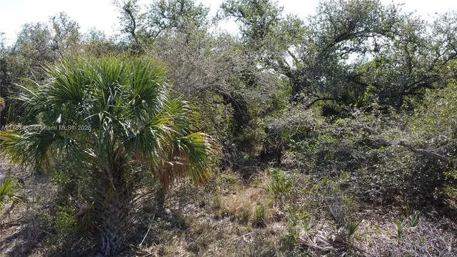 $26,000 | 12133 Lenglen Avenue, Port Charlotte, FL 33981