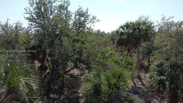 $26,000 | 12133 Lenglen Avenue, Port Charlotte, FL 33981