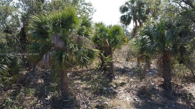 $26,000 | 12133 Lenglen Avenue, Port Charlotte, FL 33981