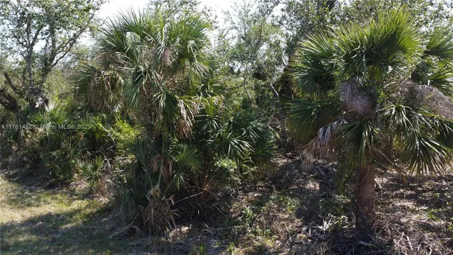 $26,000 | 12133 Lenglen Avenue, Port Charlotte, FL 33981