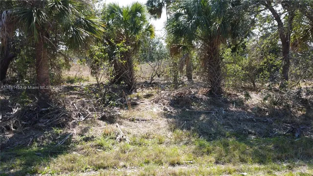 $26,000 | 12133 Lenglen Avenue, Port Charlotte, FL 33981