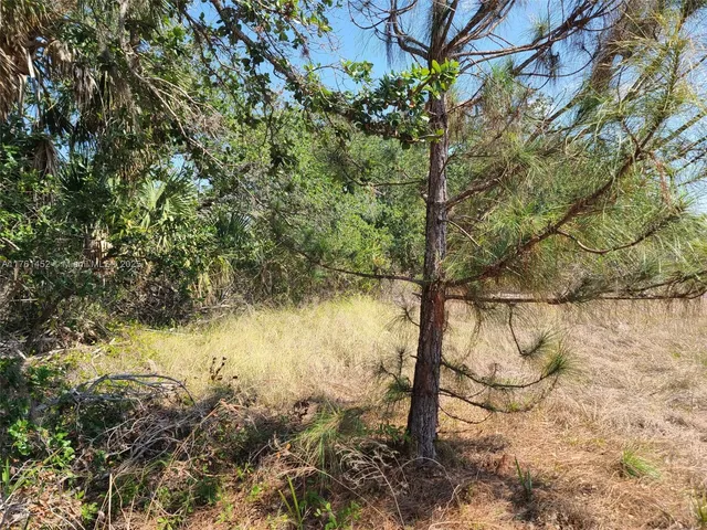 $26,000 | 12133 Lenglen Avenue, Port Charlotte, FL 33981