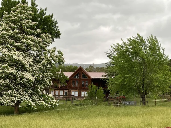 a view of a garden