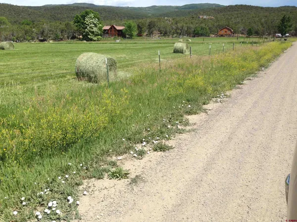 $990,000 | 19795 High Park Road, Cedaredge, CO 81413