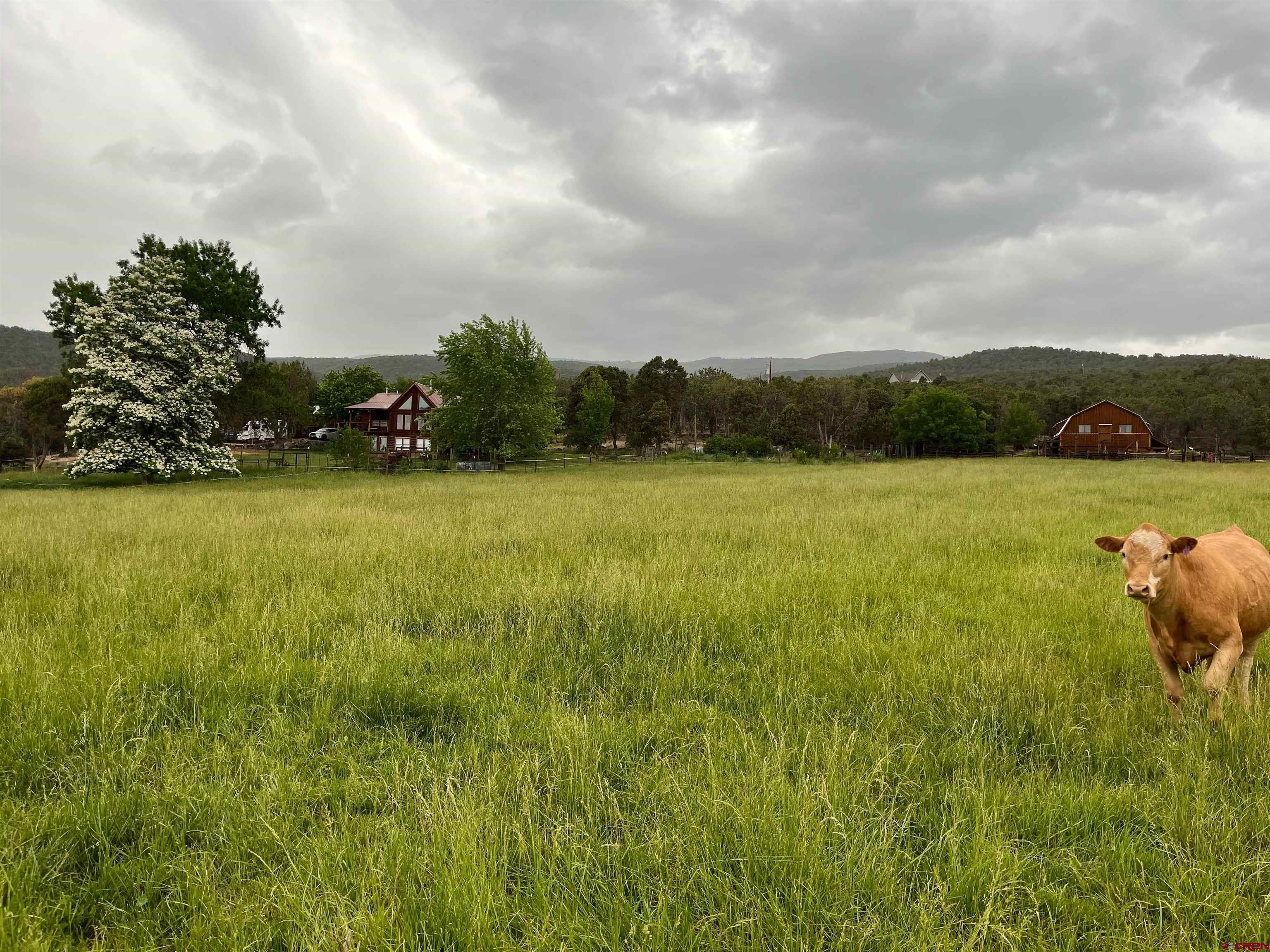 19795 High Park Road Cedaredge, CO 81413 - Photo 23 of 34
