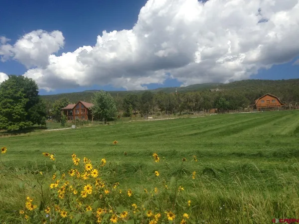 $990,000 | 19795 High Park Road, Cedaredge, CO 81413