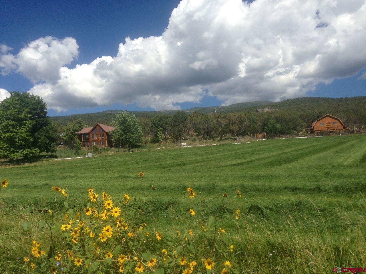19795 High Park Road Cedaredge, CO 81413 - Photo 25 of 34
