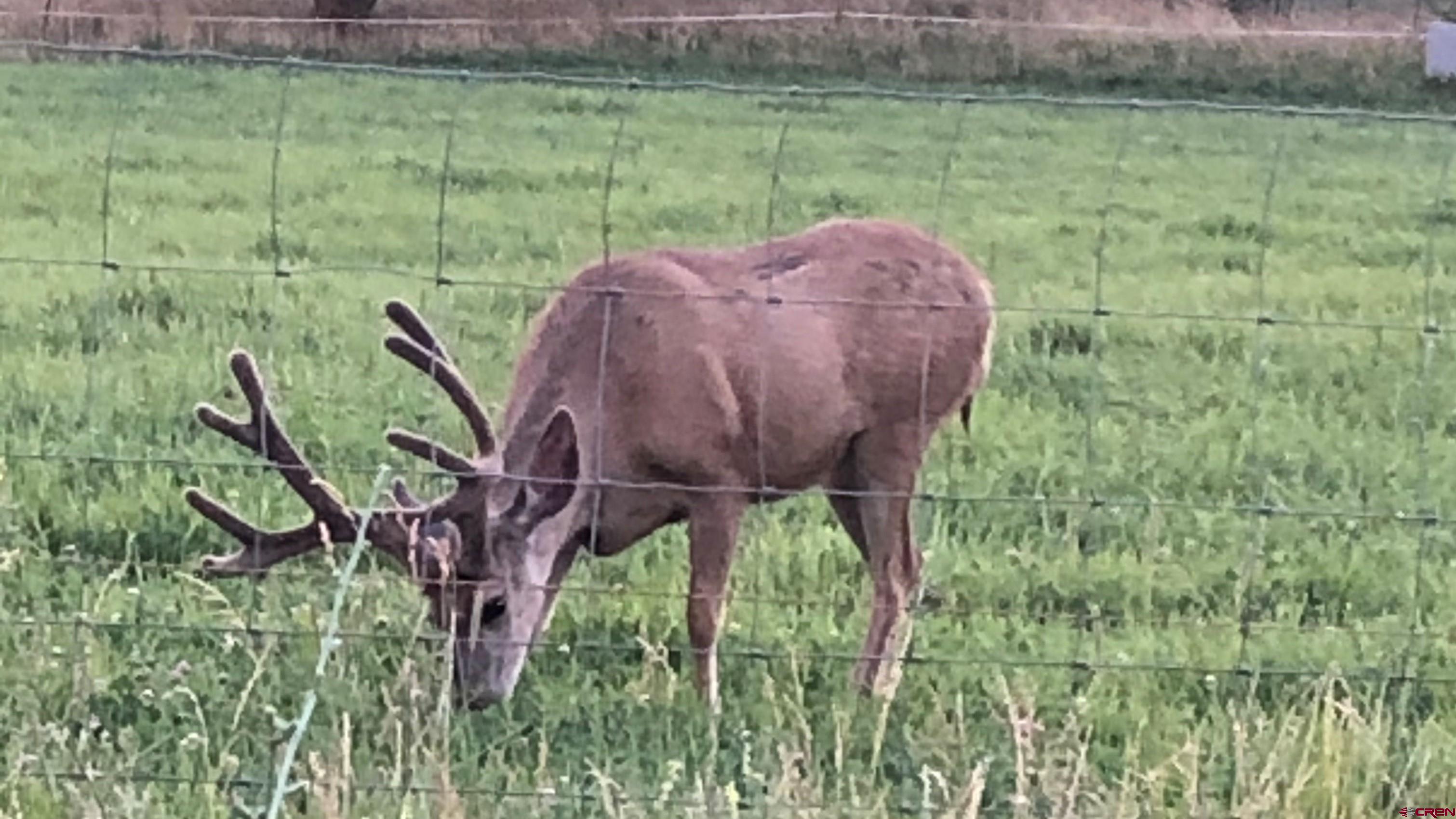 19795 High Park Road Cedaredge, CO 81413 - Photo 31 of 34