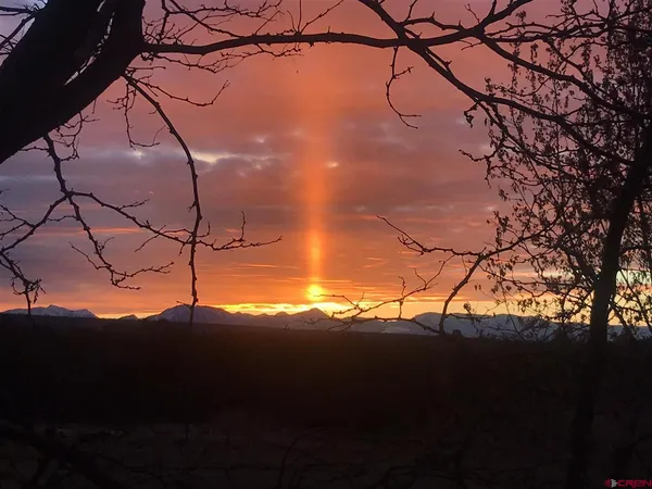 $990,000 | 19795 High Park Road, Cedaredge, CO 81413