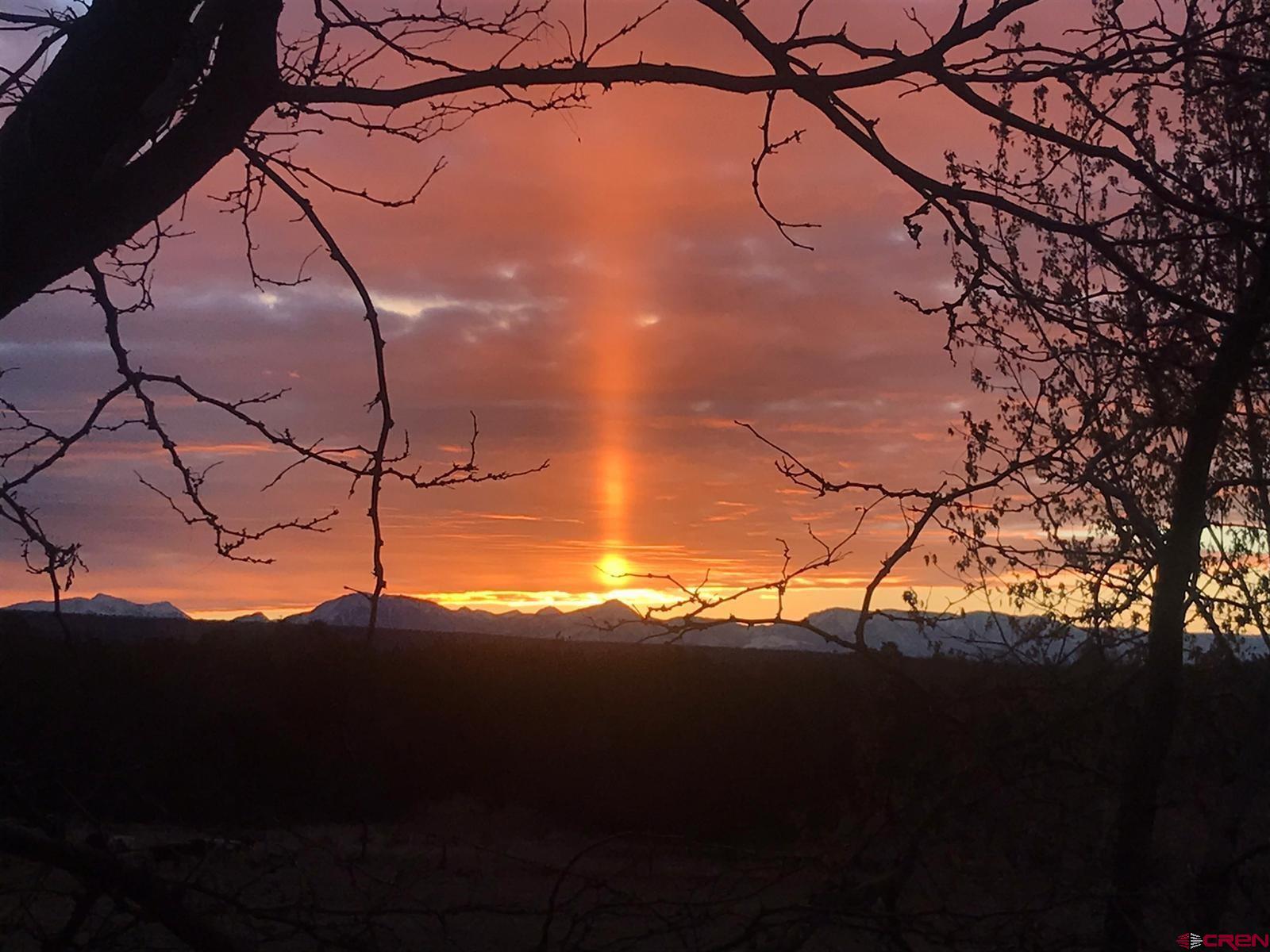 19795 High Park Road Cedaredge, CO 81413 - Photo 32 of 34