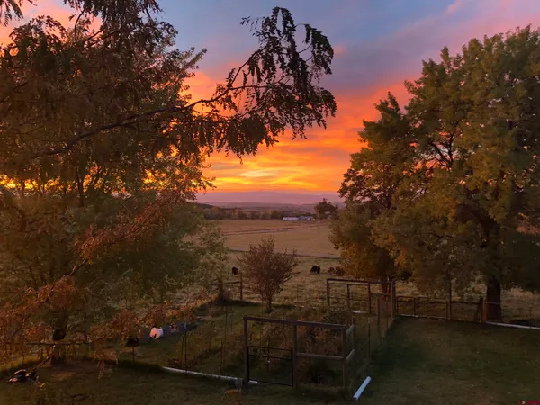 $990,000 | 19795 High Park Road, Cedaredge, CO 81413