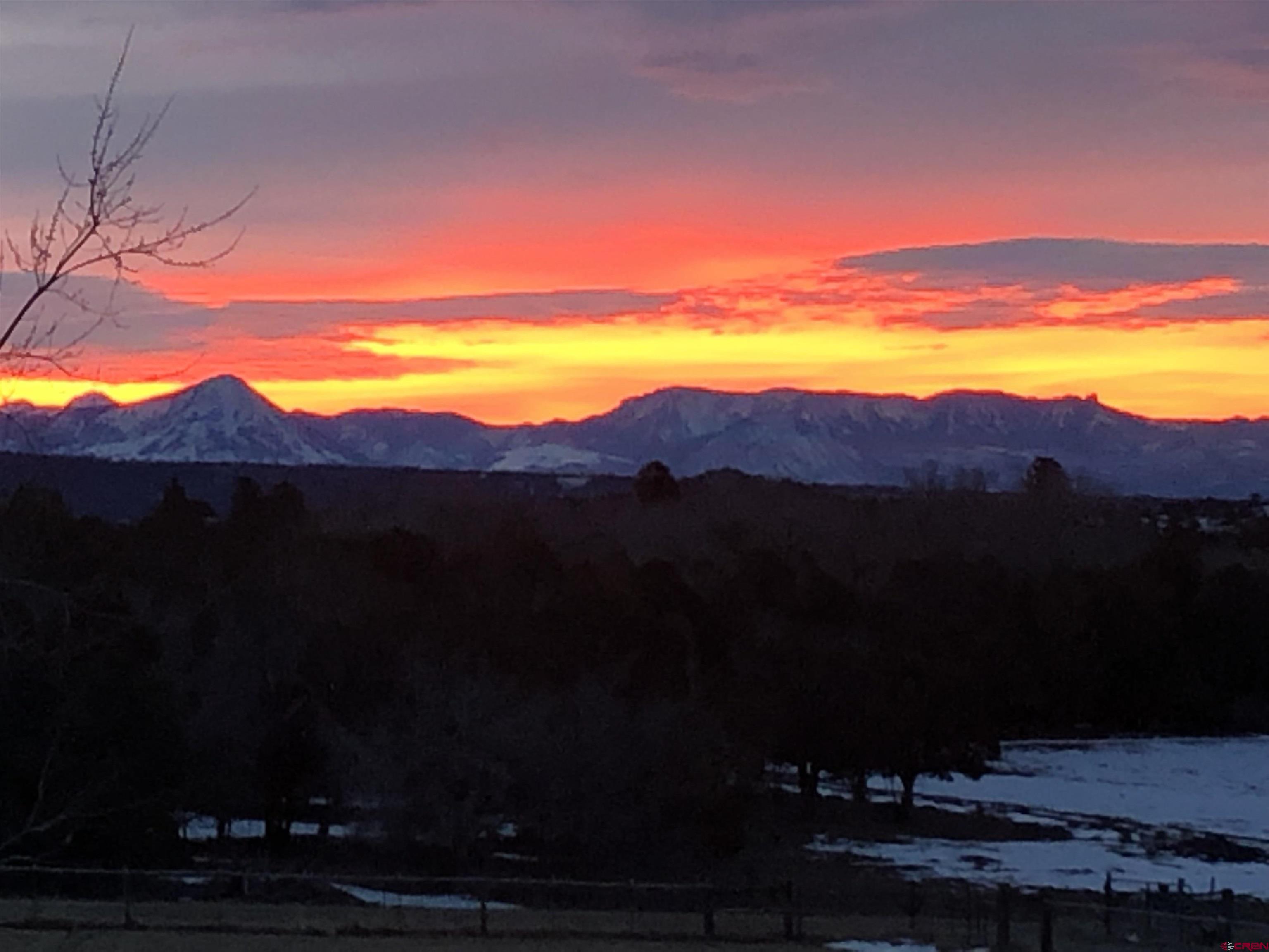 19795 High Park Road Cedaredge, CO 81413 - Photo 34 of 34