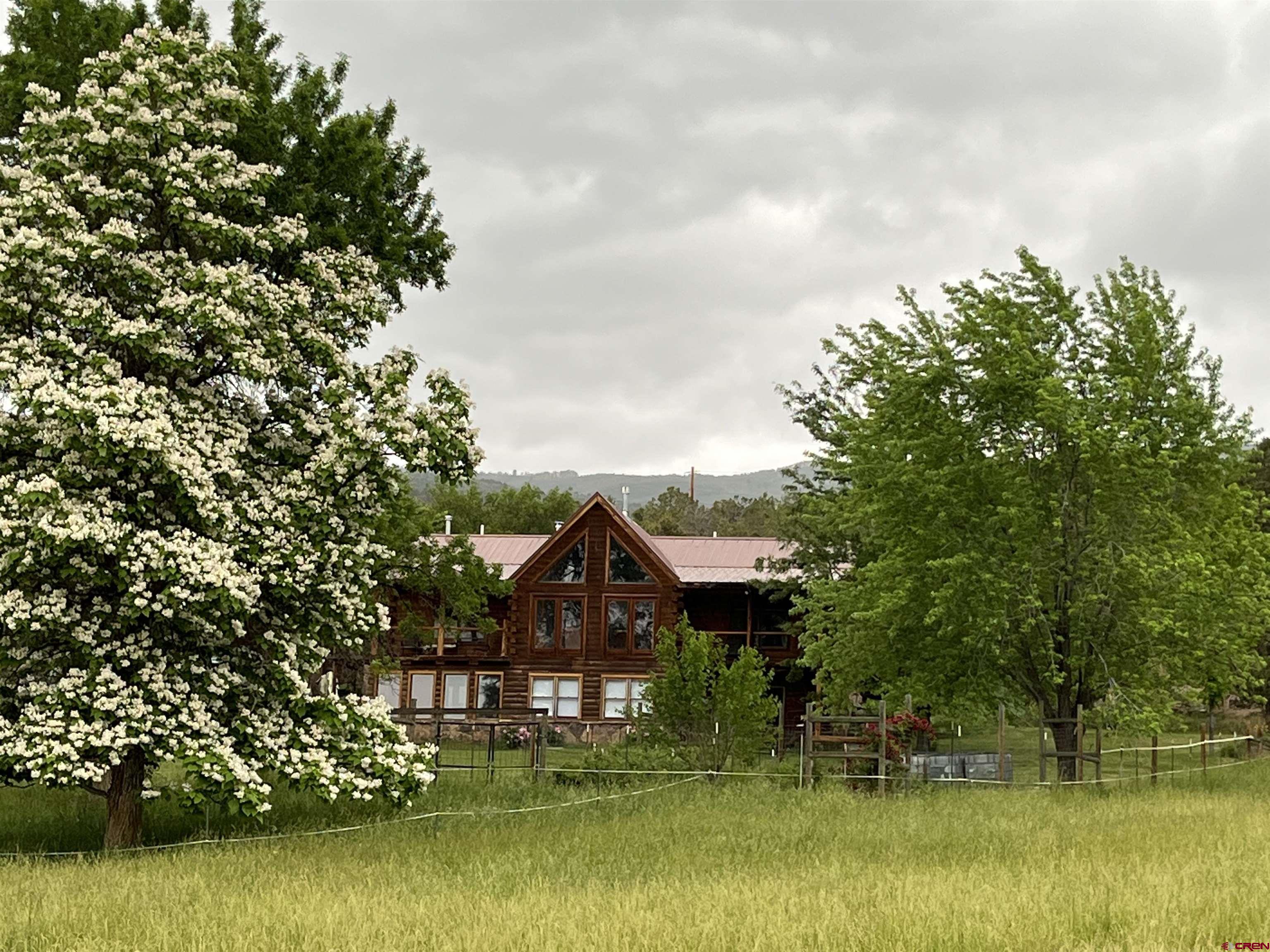 19795 High Park Road Cedaredge, CO 81413 - Photo 4 of 34