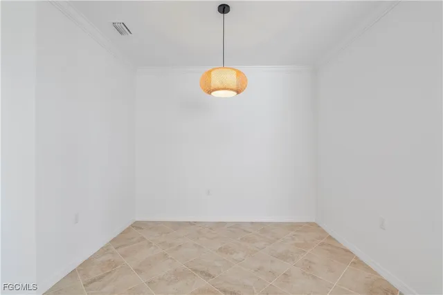 a close view of a plant in a room