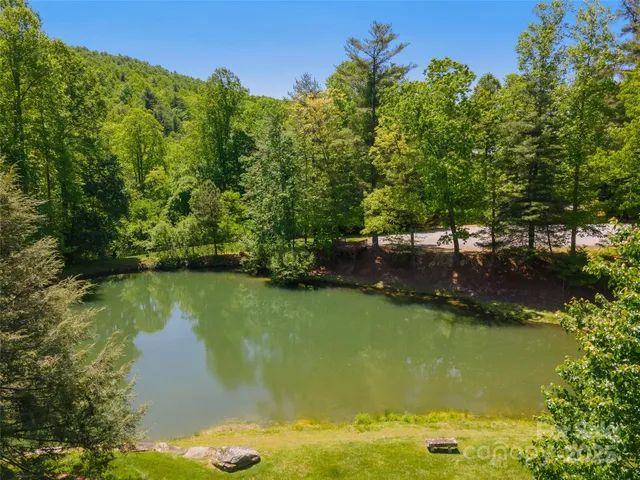 a view of a lake from a yard