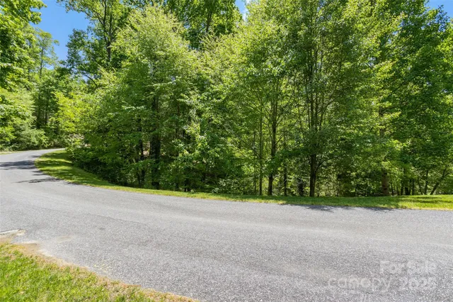a view of a field with a trees