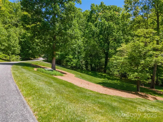 a view of a backyard with large trees