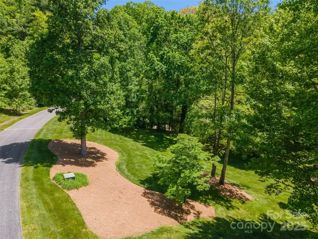 a view of a yard with plants and large trees