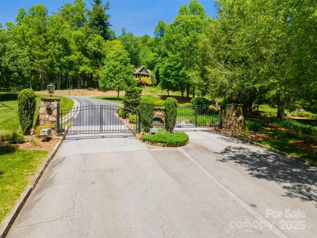 a road view with a garden