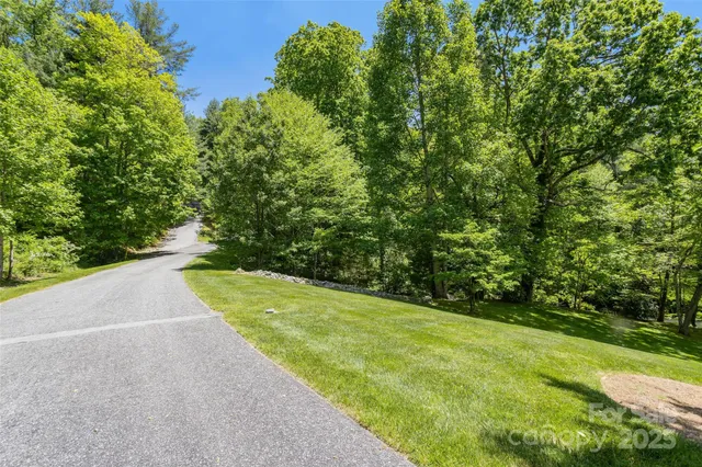 a view of a yard with a trees