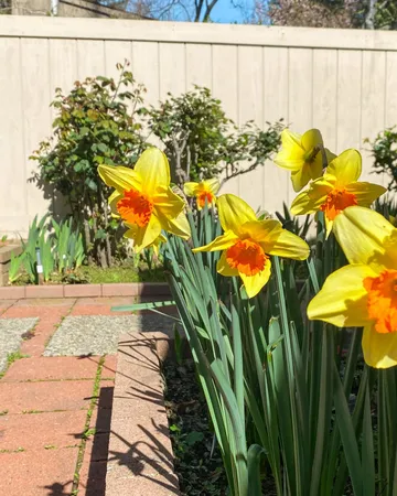 $429,000 | 130 Hartnell Place, Sacramento, CA 95825