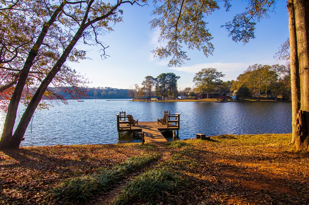 1631 West Pine Lake Drive West Point, GA 31833 - Photo 3 of 37 a view of a lake with houses