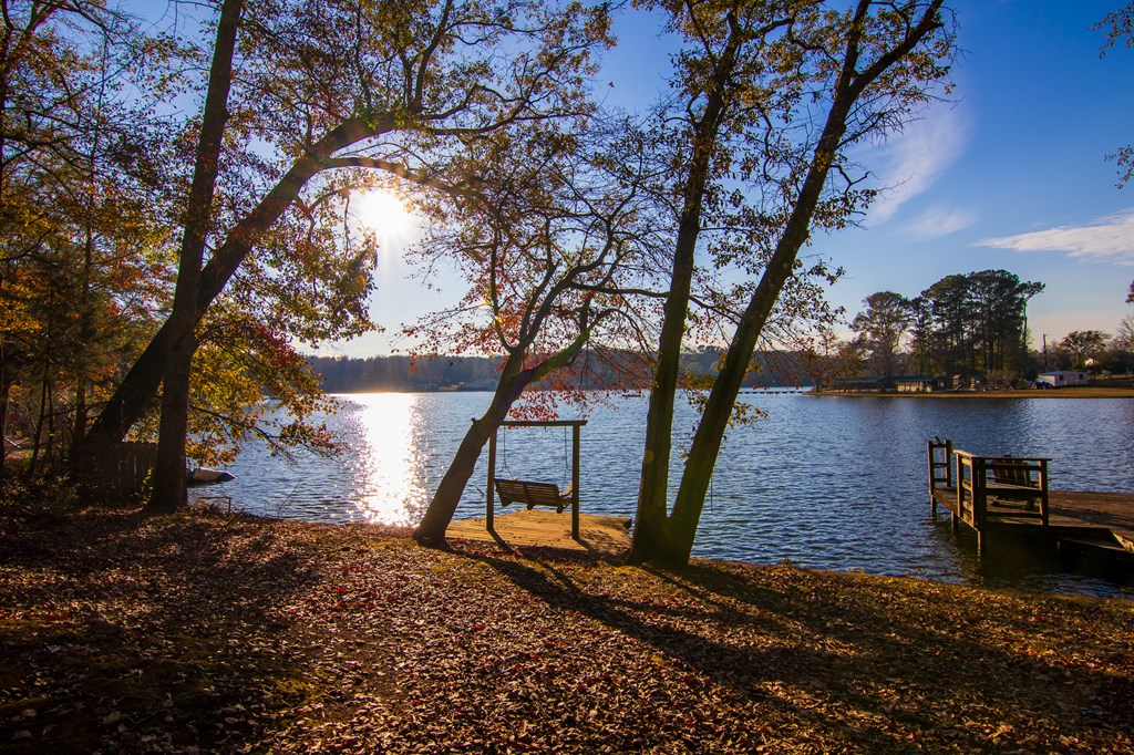 1631 West Pine Lake Drive West Point, GA 31833 - Photo 36 of 37 a view of a backyard with large trees