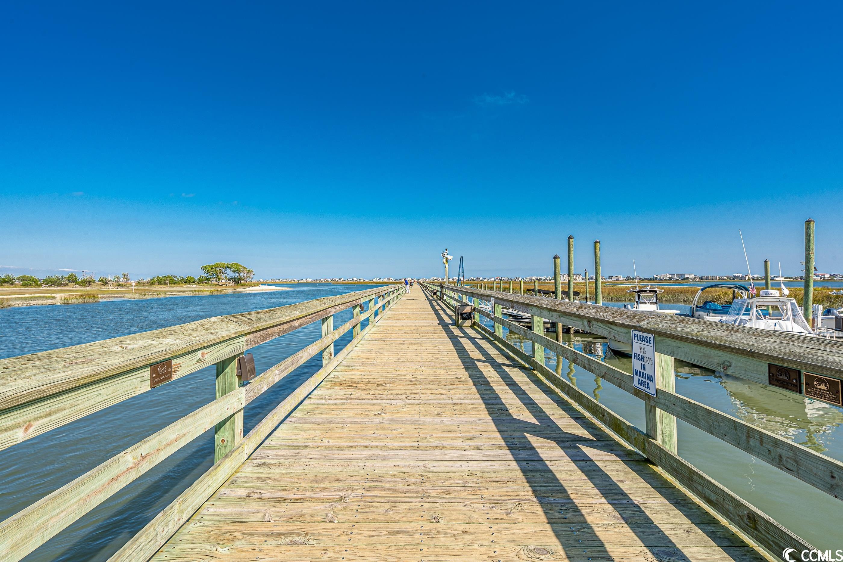 912 Trout Court Murrells Inlet, SC 29576 - Photo 36 of 40