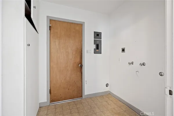 a view of a backyard with plants and large tree